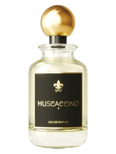 Muscaccino - موسکاچینو