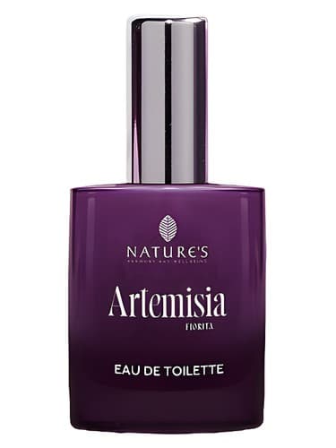 Artemisia Fiorita - درمنه فیوریتا