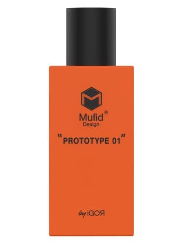 Mufid Prototype 01 - نمونه اولیه Mufid 01