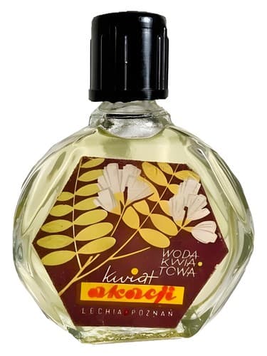 Kwiat akacji - کویت آکاجی