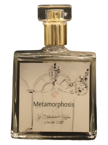 Metamorphosis - دگردیسی