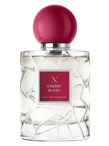 Cherry Blush - رژ گونه گیلاسی