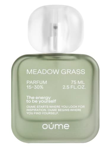 Meadow Grass - چمنزار