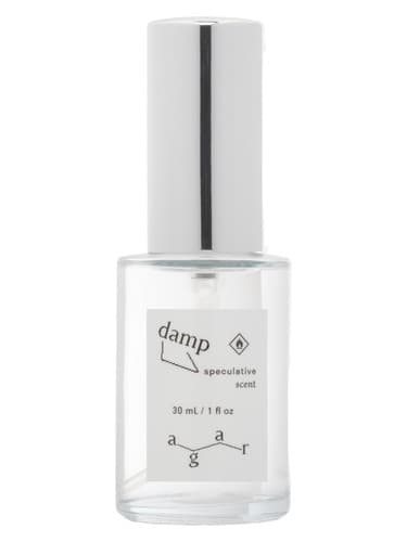 Damp - مرطوب