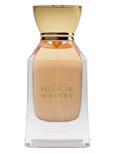 Fleur de Socotra - فلور دو سوکوترا