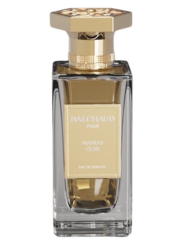 Mango Cuir - انبه کویر
