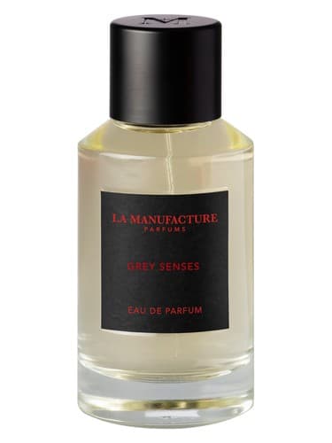 Grey Senses - حواس گری