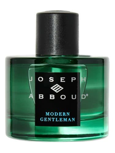 Modern Gentleman - جنتلمن مدرن