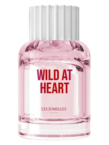 Wild at Heart - وایلد در قلب