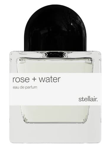 Rose + Water - گلاب + واتر