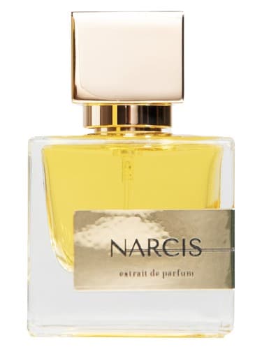 Narcis - نارسیس