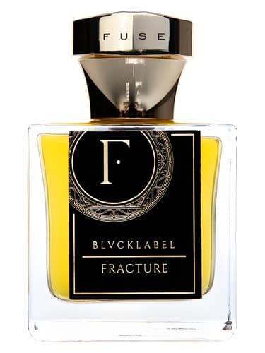 Fracture - شکستگی