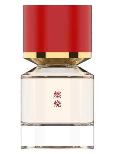 Burning 燃烧