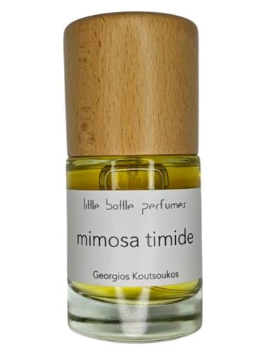 mimosa timide - میموزا ترسو