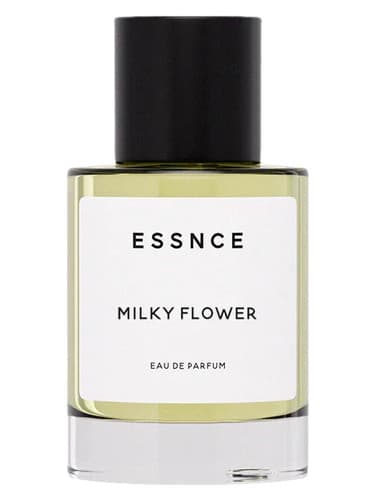 Milky Flower - گل شیری