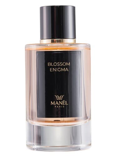 Blossom Enigma - معمای شکوفه