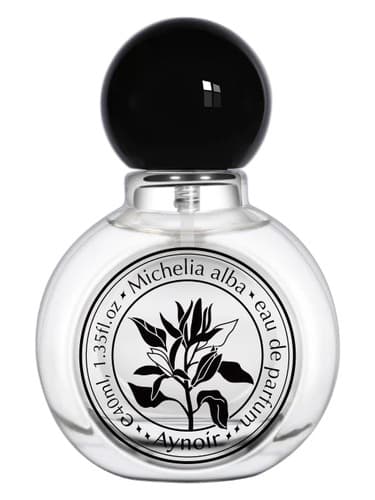 Michelia Alba 白兰 - میشلیا آلبا 白兰