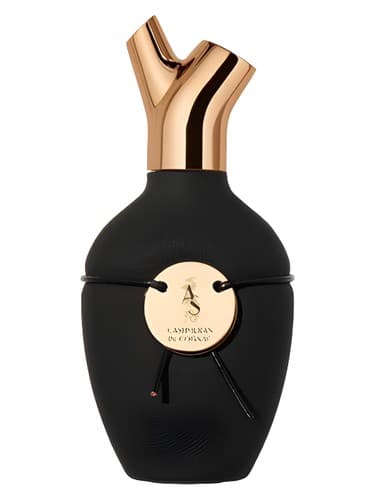 Cashmeran in Cognac - ترمه در کنیاک