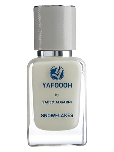 SNOWFLAKES - دانه های برف