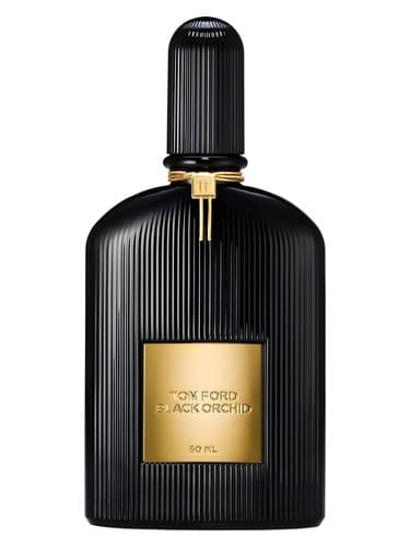 Black Orchid - بلک ارکید