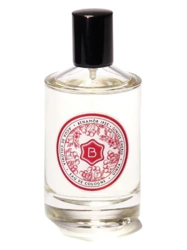 Ginja - جینجا