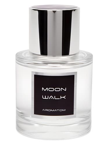 Moon Walk - پیاده روی مون