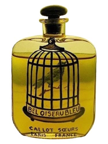 Bel Oiseau Bleu 