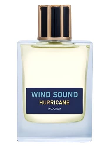 Hurricane - طوفان