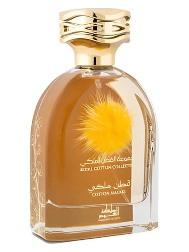 Cotton Malaki - ملاکی پنبه ای