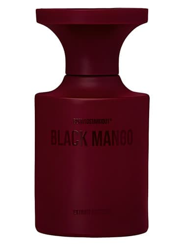 Black Mango - انبه بلک