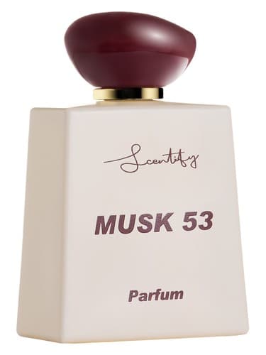 Musk 53 - مشک 53