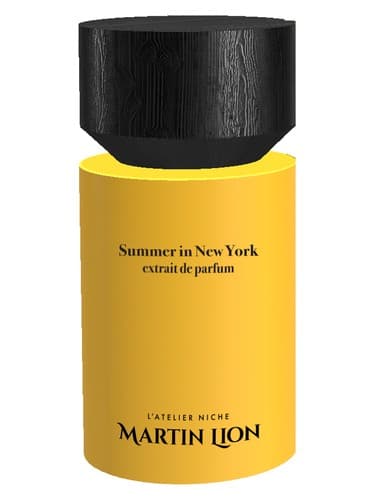 Summer in New York - سامر در نیویورک