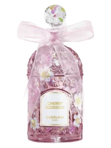 Cherry Blossom Millésime 2025