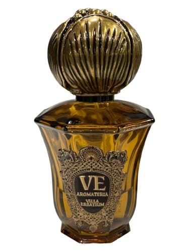 Scent of Seoul - بوی سئول
