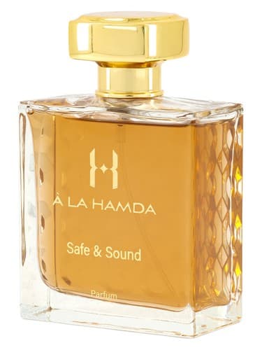 Safe & Sound - امن و صدا