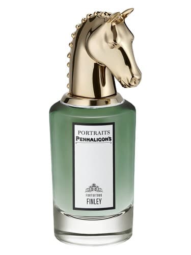 Fortuitous Finley - فینلی اتفاقی