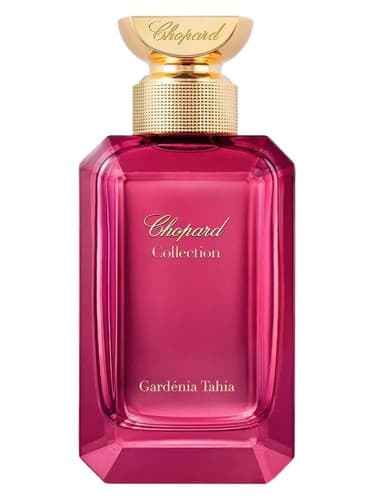 Gardénia Tahia - گاردنیا طاهیا
