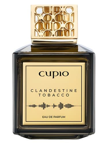Clandestine Tobacco - تنباکوی مخفی