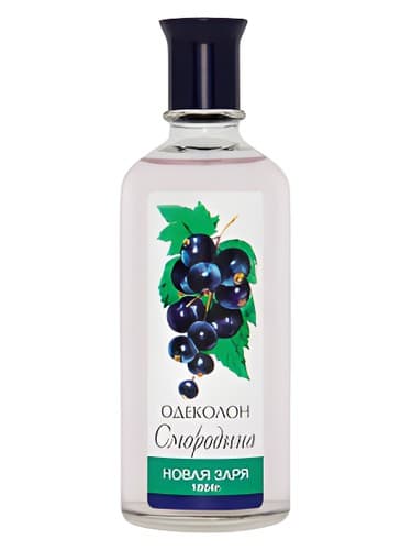 Смородина Одеколон (Black Currant Cologne)