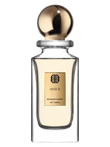 Oud X