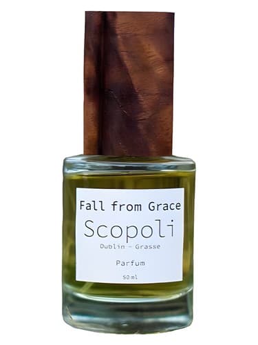 Fall From Grace - سقوط از فیض