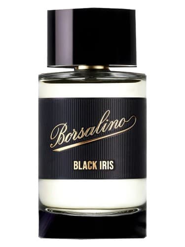 Black Iris - زنبق بلک