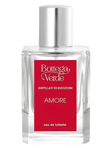 Amore - آمور