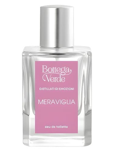 Meraviglia - مراویگلیا