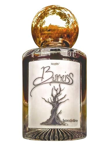 Burniss - برنیس