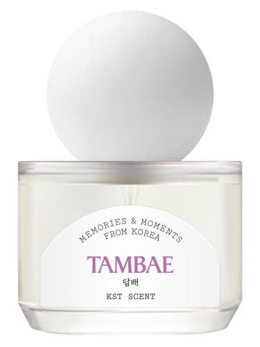 Tambae - تامبای