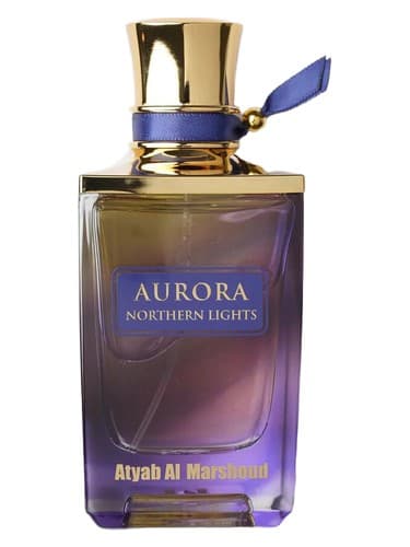 Aurora Northern Lights - شفق قطبی