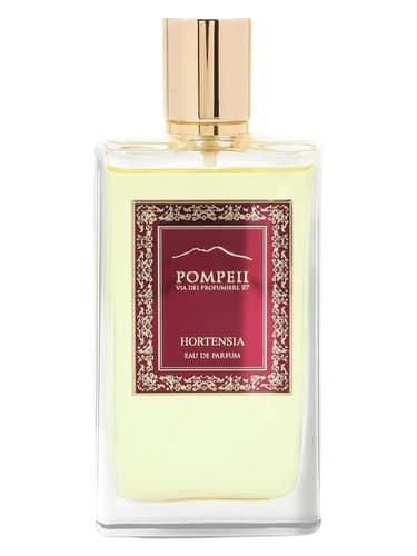 Hortensia - هورتنزیا