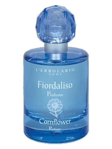 Fiordaliso - فیوردالیسو