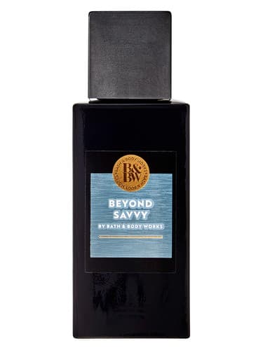Beyond Savvy - فراتر از زرنگی
